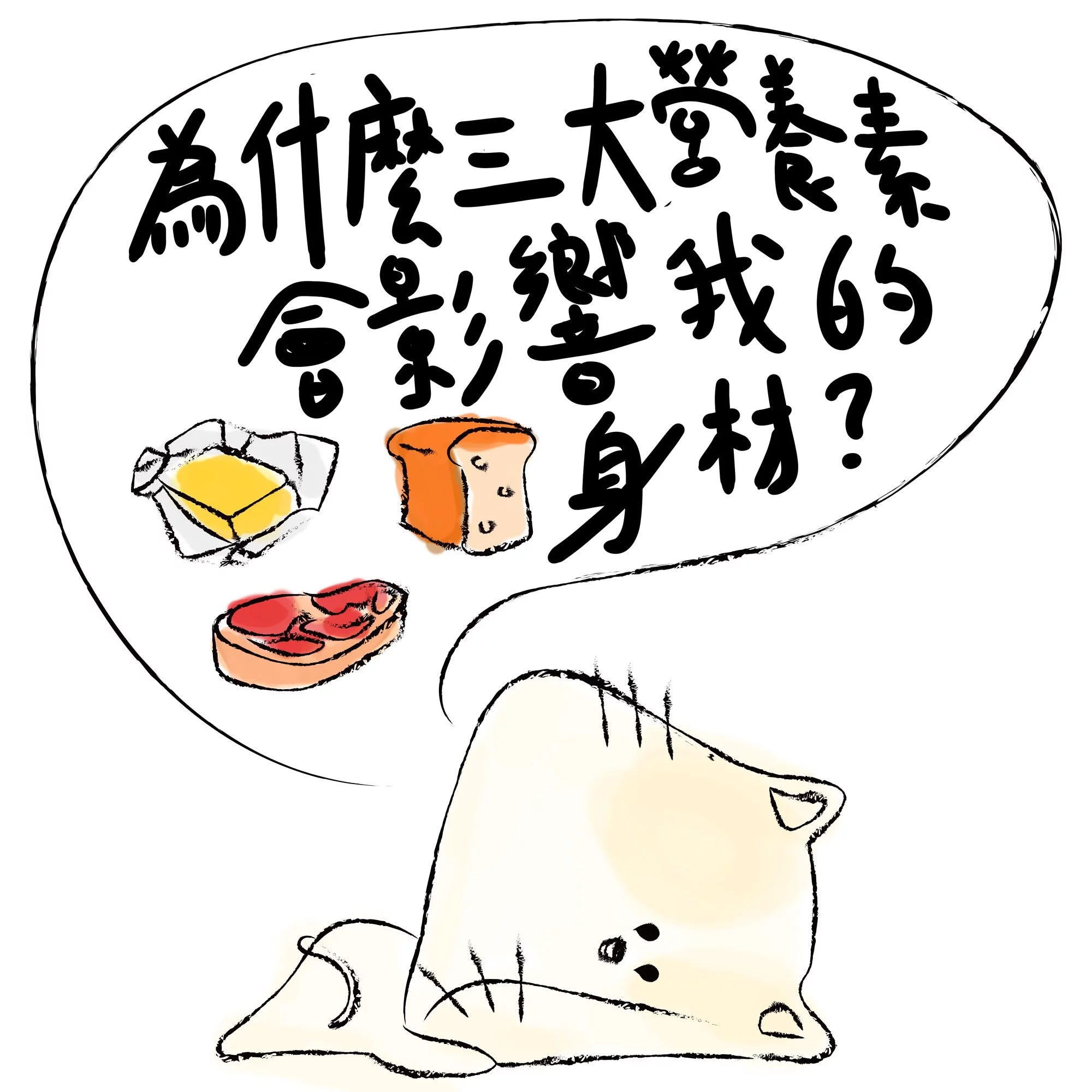 為什麼三大營養素會影響我的身材?